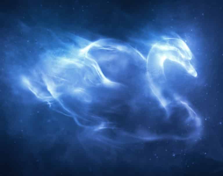 Test Cual Es Tu Patronus Pottermore